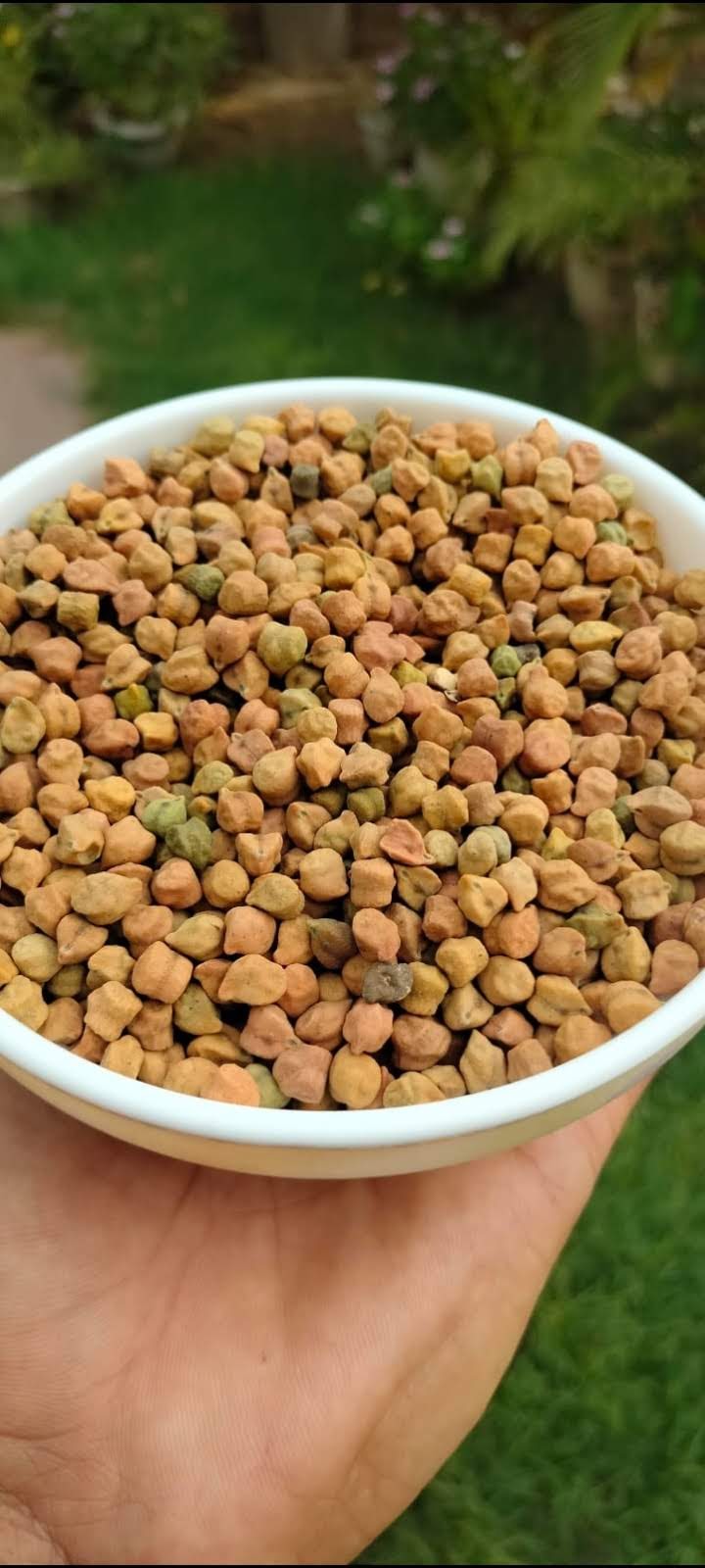 Dhaam Organic- Organic Food